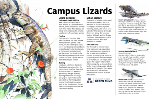 UA Green Fund Lizard Sign UA Green Fund Lizard Sign